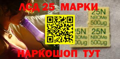 гидропоника Можга